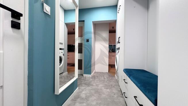 Mieszkanie, w którym kot jest prezesem