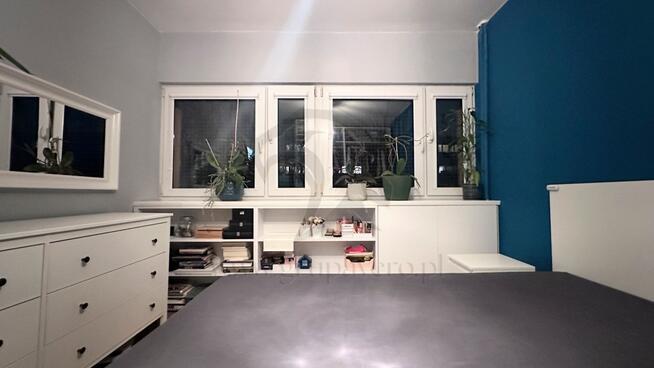 Mieszkanie, w którym kot jest prezesem