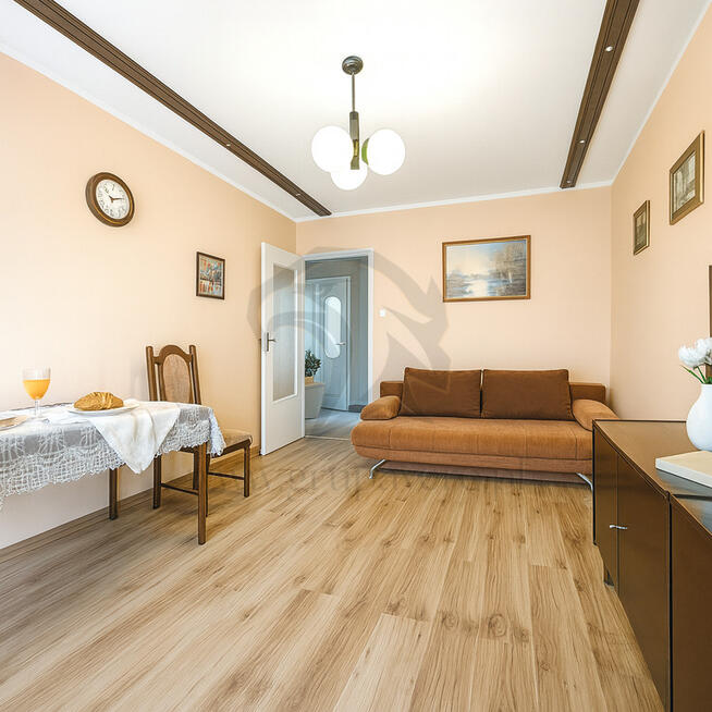 Zielono mi.... Mamy to czego szukasz...