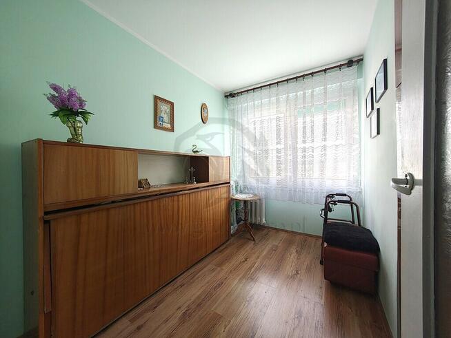 Zielono mi.... Mamy to czego szukasz...