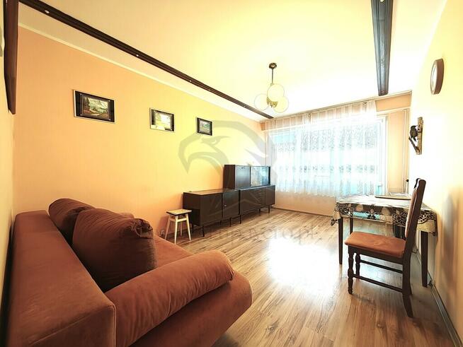 Zielono mi.... Mamy to czego szukasz...