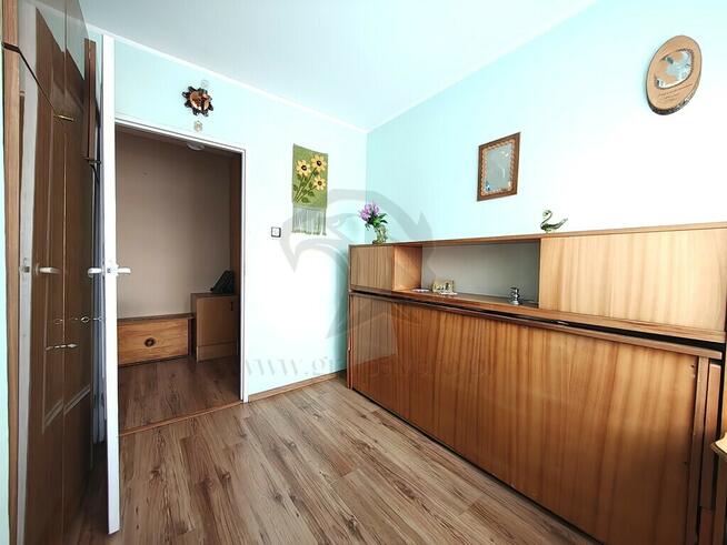 Zielono mi.... Mamy to czego szukasz...