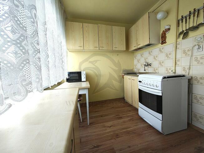 Zielono mi.... Mamy to czego szukasz...