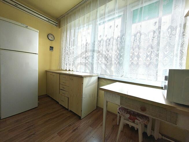 Zielono mi.... Mamy to czego szukasz...