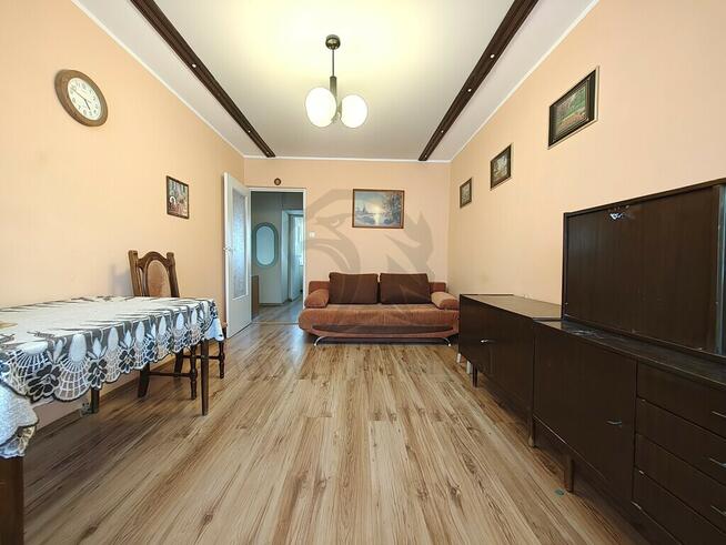 Zielono mi.... Mamy to czego szukasz...