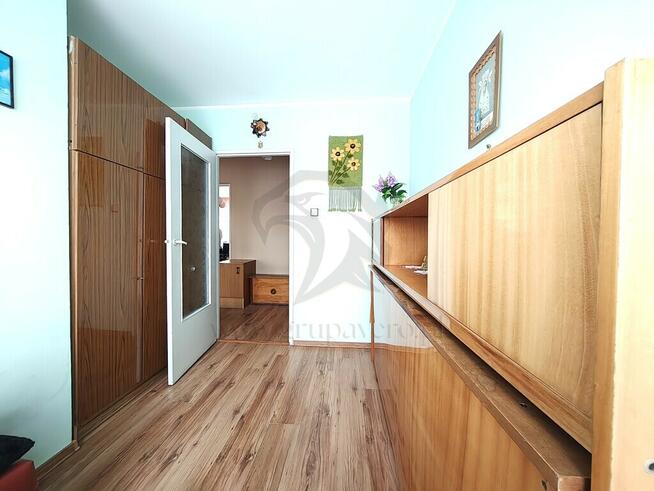 Zielono mi.... Mamy to czego szukasz...