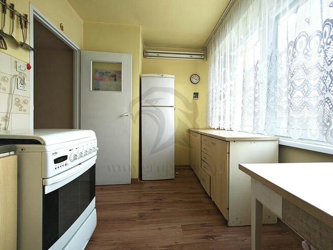 Zielono mi.... Mamy to czego szukasz...