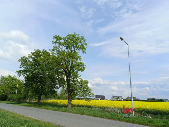 Działka budowlana Mrowino gm. Rokietnica, Tarnowska