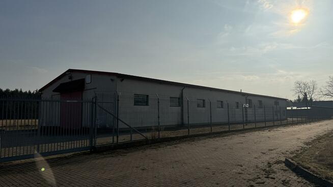 Lokal użytkowy Brzeźnik gm. Bolesławiec