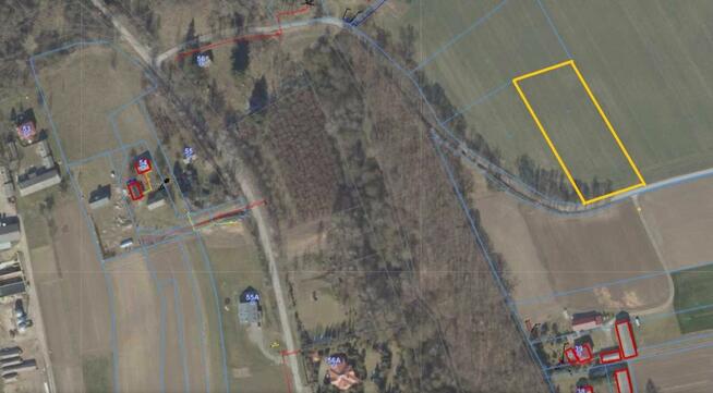 Działka rolna Wojciechów Wojciechów-Kolonia Pierwsza,