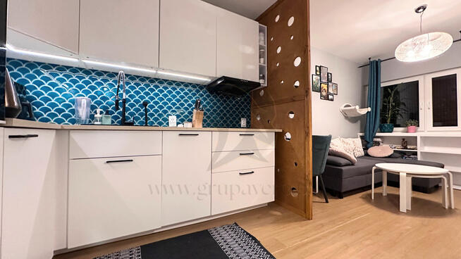 Mieszkanie, w którym kot jest prezesem