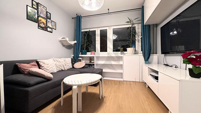 Mieszkanie, w którym kot jest prezesem