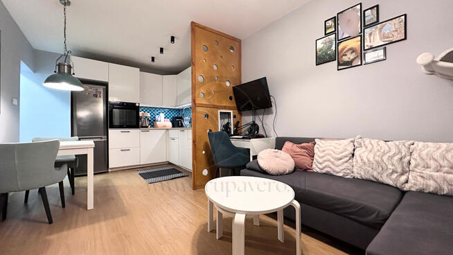 Mieszkanie, w którym kot jest prezesem