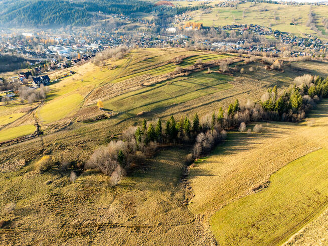 Działka rolna 29ar w Zakopanem - Bachledzki Wierch