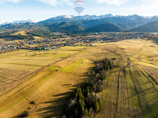 Działka rolna 29ar w Zakopanem - Bachledzki Wierch