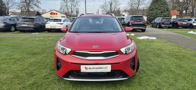 Kia Stonic Zarejestrowany