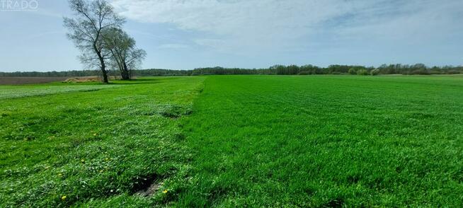 Dom Góraj gm. Babiak