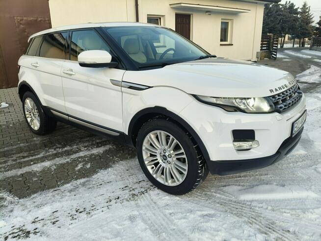 Land Rover Range Rover Evoque 2,2d Navi.Kam.Cof.Skóry.Tempomat.Xenony.4x4.kredyt,OKAZJA