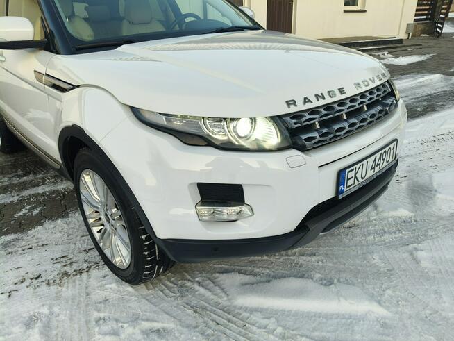 Land Rover Range Rover Evoque 2,2d Navi.Kam.Cof.Skóry.Tempomat.Xenony.4x4.kredyt,OKAZJA