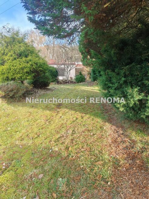 Działka rekreacyjna Jastrzębie-Zdrój Zdrój, Dębowa