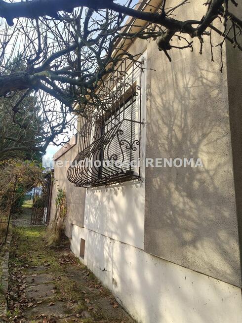 Działka rekreacyjna Jastrzębie-Zdrój Zdrój, Dębowa