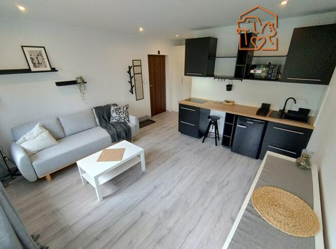 Kawalerka przyjazna dla zwierząt, Mikołaja Reja 13