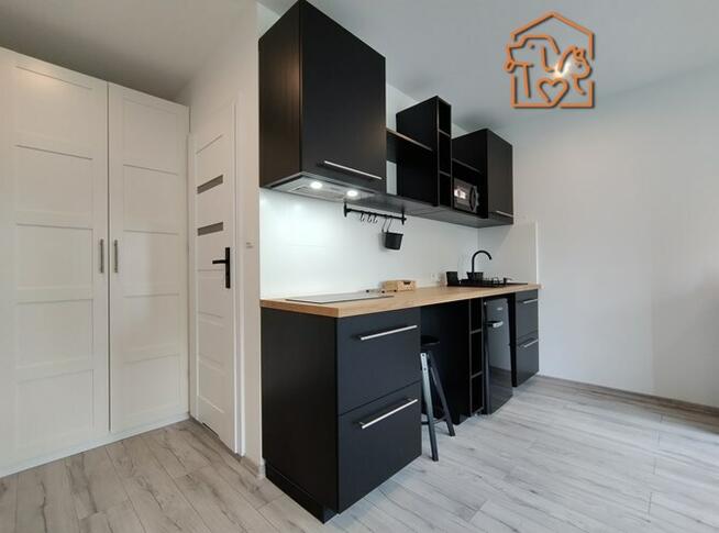 Kawalerka przyjazna dla zwierząt, Mikołaja Reja 13