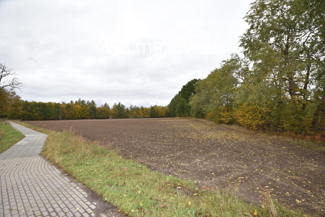 Działka budowlana pod usługi/produkcję/magazyny