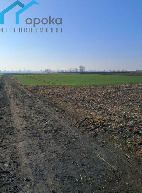 Działka usługowa Piekary Śląskie