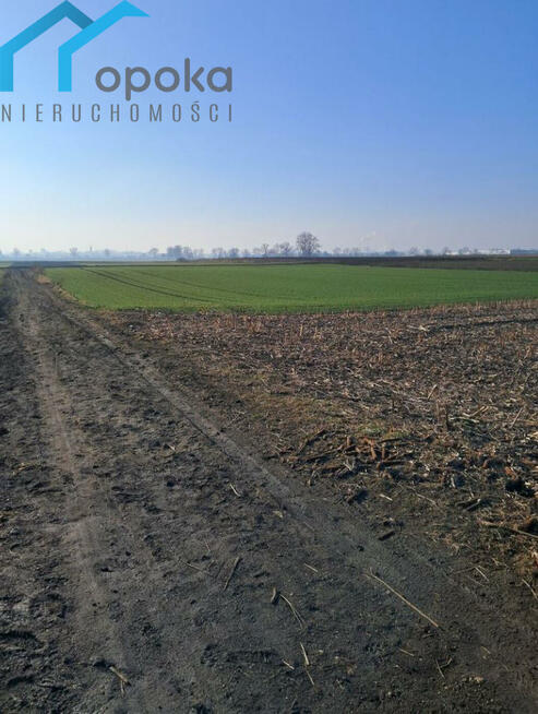 Działka usługowa Piekary Śląskie