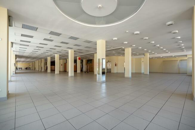 Lokal użytkowy Wrocław Stare Miasto, Stare Miasto, Rynek