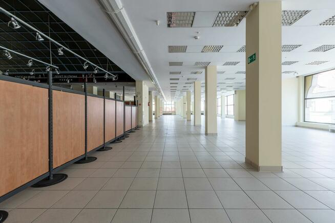 Lokal użytkowy Wrocław Stare Miasto, Stare Miasto, Rynek