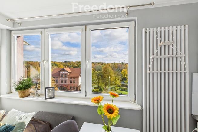 Przytulna kawalerka z widokiem na park.