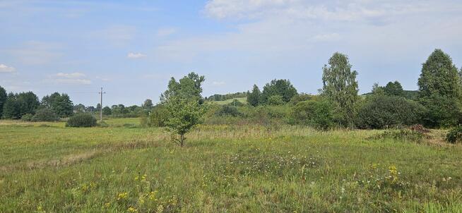 Udział 1/2 w nieruchomości gruntowej Kielce