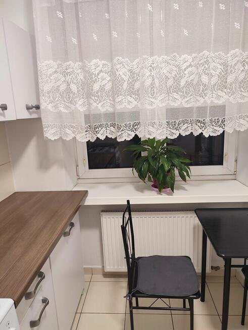 Przytulne mieszkanie do wynajęcia MIELEC