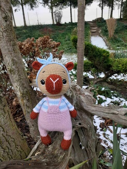 Kapibara na szydełku