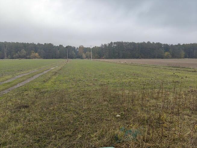 Syndyk sprzeda - Kobierne