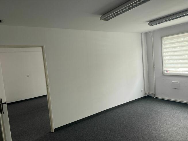 Biuro do wynajęcia od właściciela, bez prowizji, 18 i 26m²