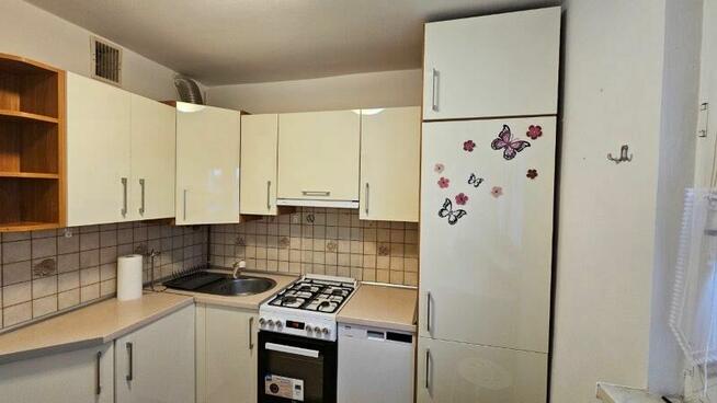 mieszkanie do wynajęcia idealne dla pary