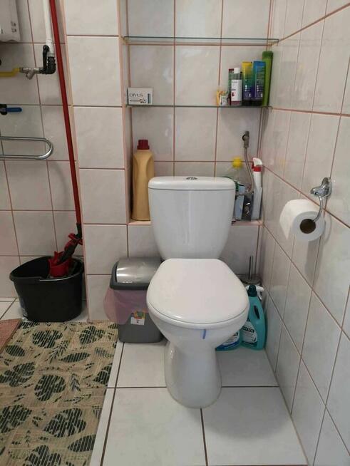 Pokój jedoosobowy ścisłe centrum