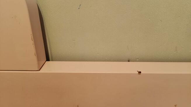 Łóżka dziewczęce