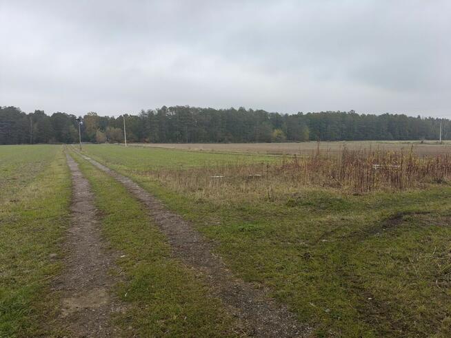 Syndyk sprzeda - Kobierne