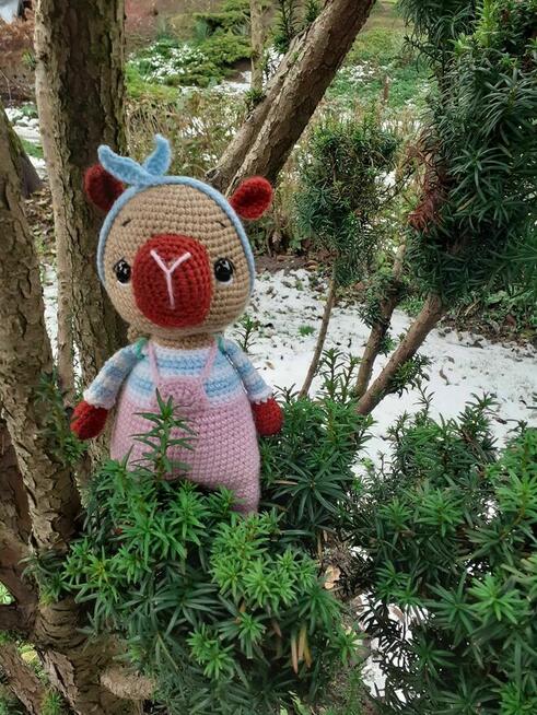 Kapibara na szydełku