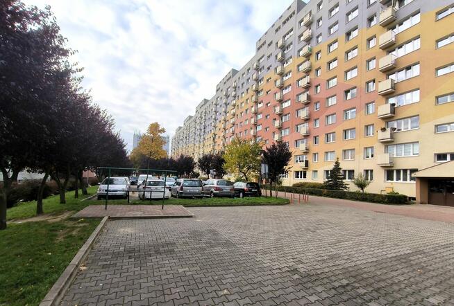 Dwupokojowe po generalnym remoncie w dzielnicy Tysiąclecie