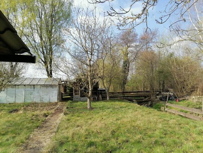 Działka rekreacyjna ROD nad strumykiem