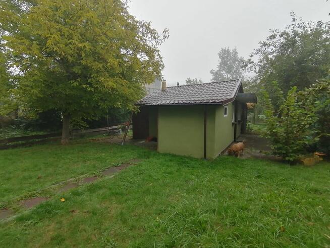 Działka rekreacyjna ROD nad strumykiem