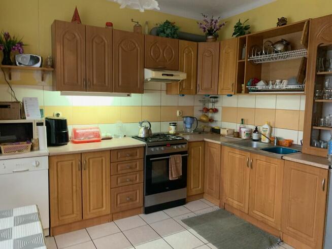 Jesionka gm. Wiskitki - nieduży dom na działce 1083 mkw