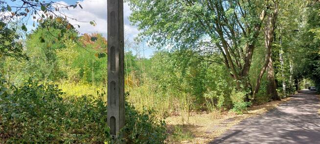 Sprzedam działkę budowlana 3987m2 Wawer RADOŚĆ