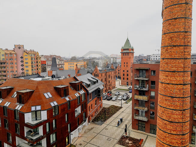 50 m² browarowej kompozycji smaku *Limited*