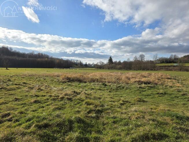 Działka rolno-budowlana Ryglice